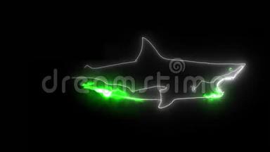 大白鲨数字动画